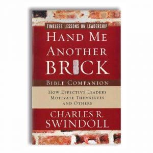 HAND ME ANOTHER BRICK, Bible Companion