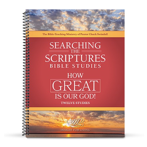 How Great Is Our God! STS Bible Study Workbook