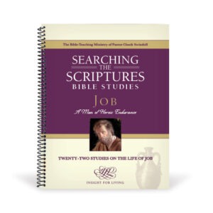 Job STS Bible Study Workbook