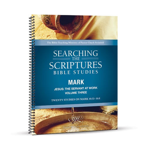 Jesus: The Servant at Work, Volume 3, STS Bible Study Workbook